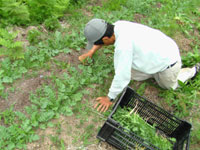 ����_���@���[���т����